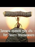 Зубаиров Саид Идрисович